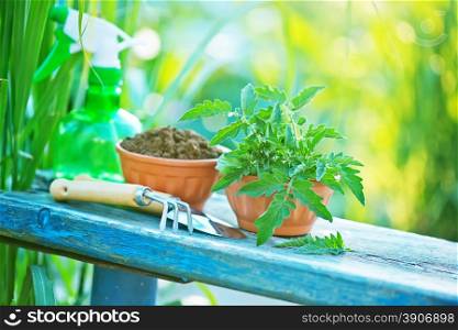 gardening utensil on a table in the garden