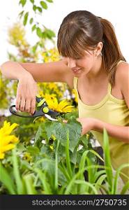 Gardening - woman cutting sunflower with pruning shears on white background