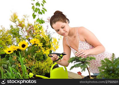 Gardening - woman cutting tree with pruning shears on white background