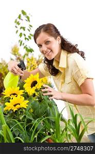 Gardening - woman sprinkling water on sunflower blossom on white background