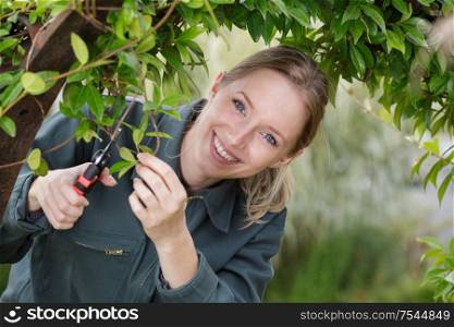 gardening - woman trimming tree