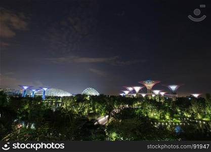 Gardens by the bay with light at night, Singapore