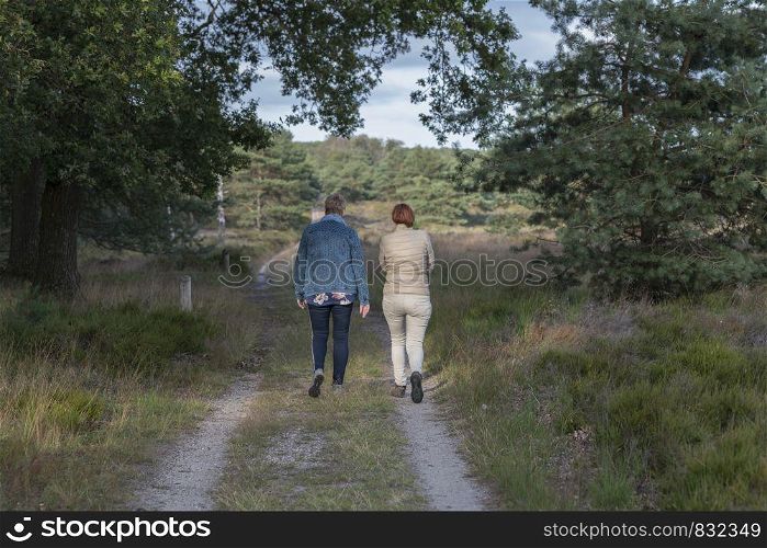 Garderen,Holland,15-july-2019:two woman walking in the national park the hooge veluwe in holland, the park is famous of its wildlife as deer and wild pigs. woman walking in nature