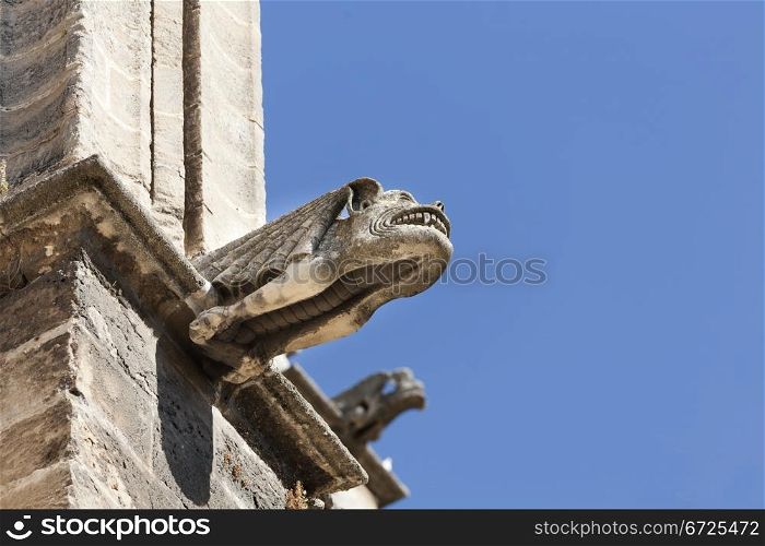 gargoyle that is on the facade of the cathedral of Seville, the largest Catholic cathedral in the world