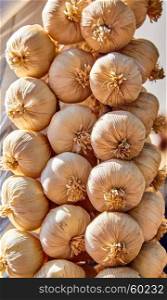 garlic background. plait of garlic bulbs