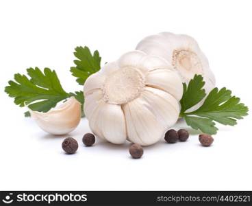 Garlic bulb and parsley leaf isolated on white background