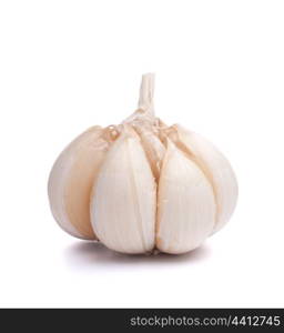 garlic bulb isolated on white background cutout