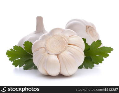 garlic bulb isolated on white background cutout