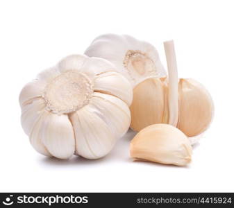 garlic bulb isolated on white background cutout