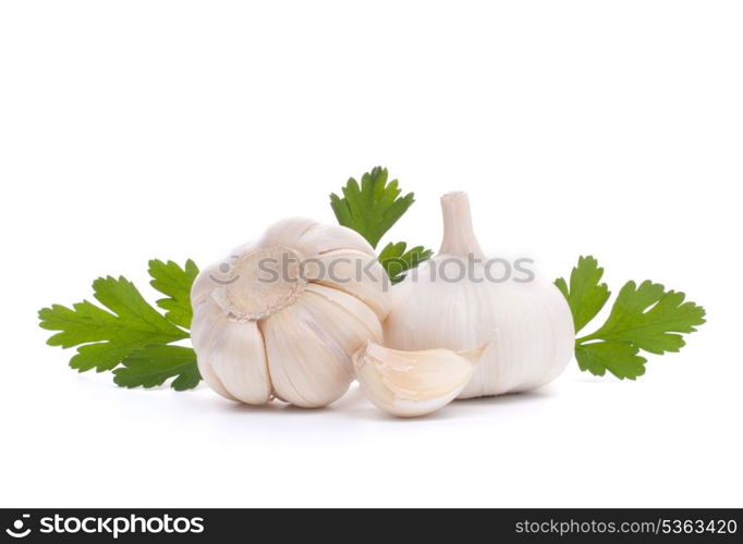 garlic bulb isolated on white background cutout