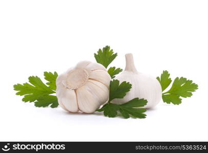 garlic bulb isolated on white background cutout