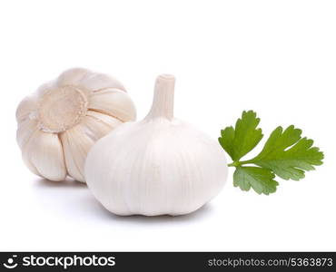 garlic bulb isolated on white background cutout