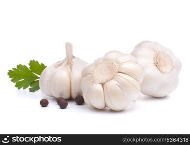 garlic bulb isolated on white background cutout