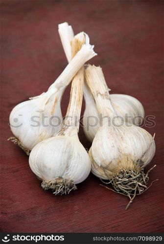 garlic bunches on vintage wooden surface