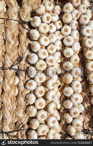 garlic bundles strings food texture background pattern