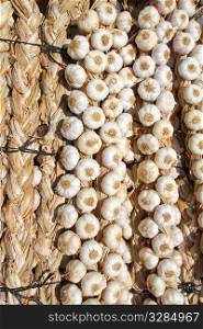 garlic bundles strings food texture background pattern