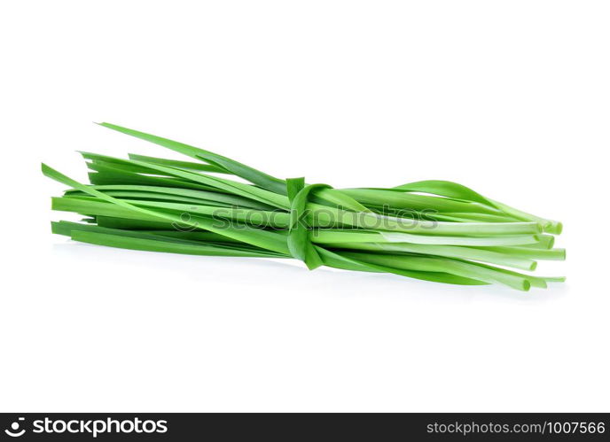 Garlic chives on white background