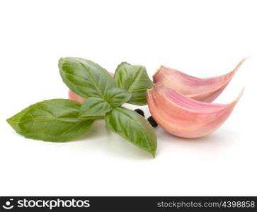 Garlic clove and basil leaf isolated on white background