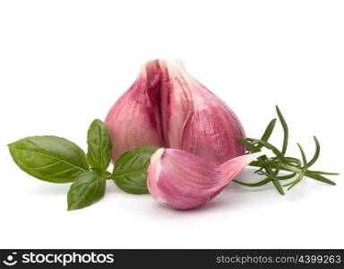 Garlic clove and basil leaf isolated on white background