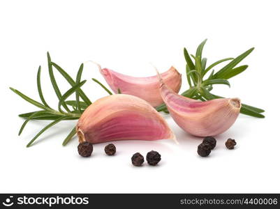 Garlic clove and rosemary leaf isolated on white background