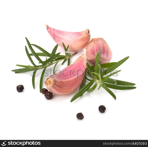 Garlic clove and rosemary leaf isolated on white background