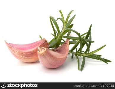 Garlic clove and rosemary leaf isolated on white background