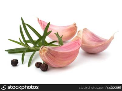 Garlic clove and rosemary leaf isolated on white background