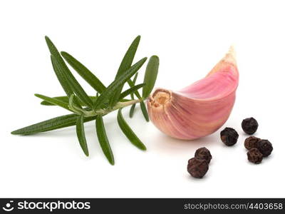 Garlic clove and rosemary leaf isolated on white background