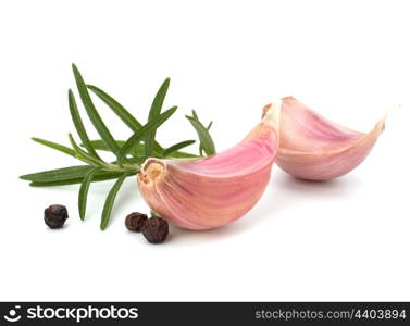 Garlic clove and rosemary leaf isolated on white background