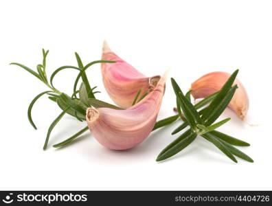 Garlic clove and rosemary leaf isolated on white background