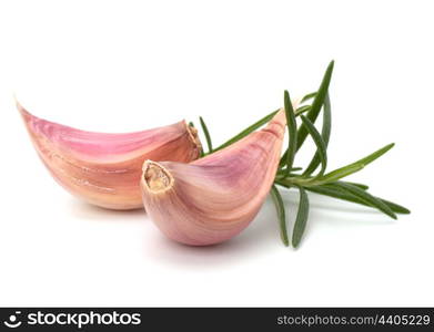 Garlic clove and rosemary leaf isolated on white background