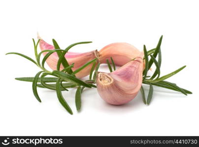 Garlic clove and rosemary leaf isolated on white background