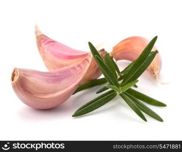 Garlic clove and rosemary leaf isolated on white background