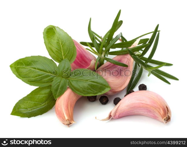 Garlic clove, basil and rosemary leaf isolated on white background