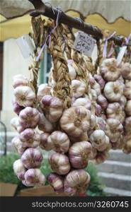 Garlic cloves on a local market in Bedoin, France