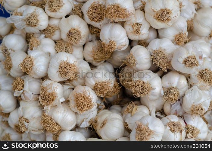 Garlic for sale in big supermarket