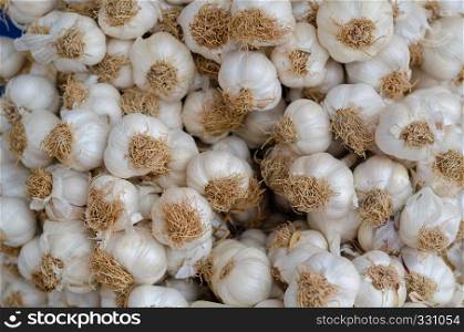 Garlic for sale in big supermarket
