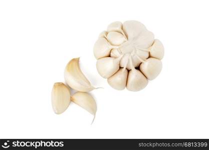 Garlic head and cloves on white background with path