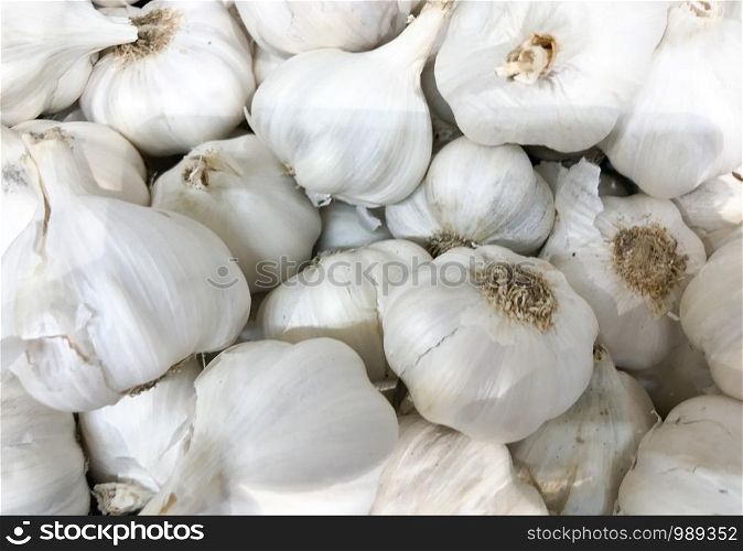 Garlic Is A Species In The Onion Genus, Allium. Its Close Relatives Include The Onion, Shallot, Leek, Chive, And Chinese Onion.