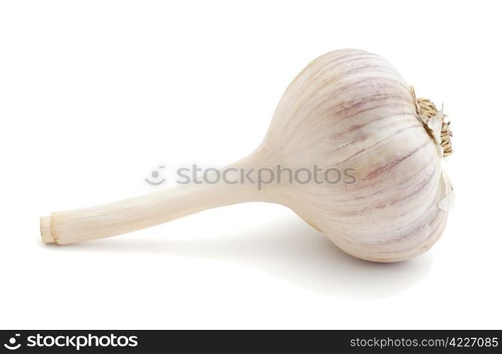 Garlic isolated on white background. Garlic
