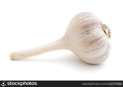 Garlic isolated on white background. Garlic