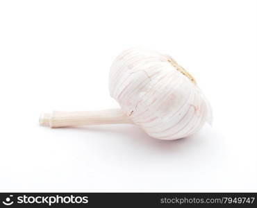 garlic on a white background