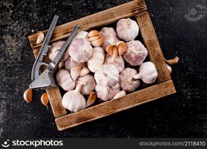 Garlic on a wooden tray with a garlic press. On a black background. High quality photo. Garlic on a wooden tray with a garlic press.
