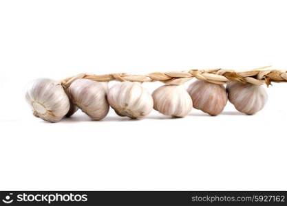 Garlic on white background - close-up