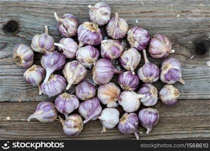Garlic on wooden vintage background. Seedlings for planting garlic.