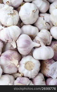 garlic pattern background on market in spain