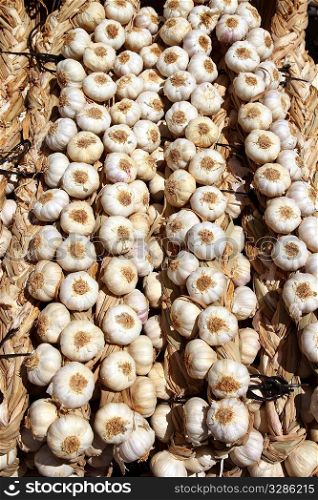 garlic rows food background pattern background