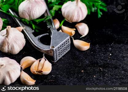 Garlic with parsley and garlic press. On a black background. High quality photo. Garlic with parsley and garlic press.