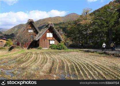 Gassho Zukuri styled house with field in Shirakawago, Japan