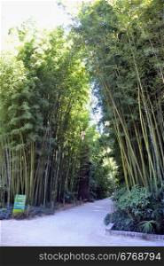 gate of the Japanese garden entrance in park Anduze bamboo where almost all species are represented and promoted in an Asian garden